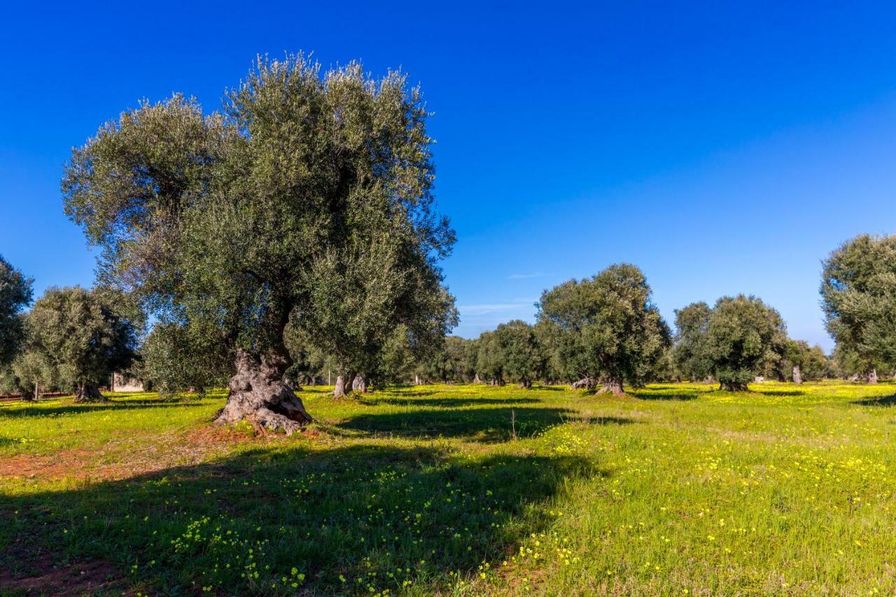 Casa Bixie Old Town Of Ostuni Puglia 아파트 외부 사진